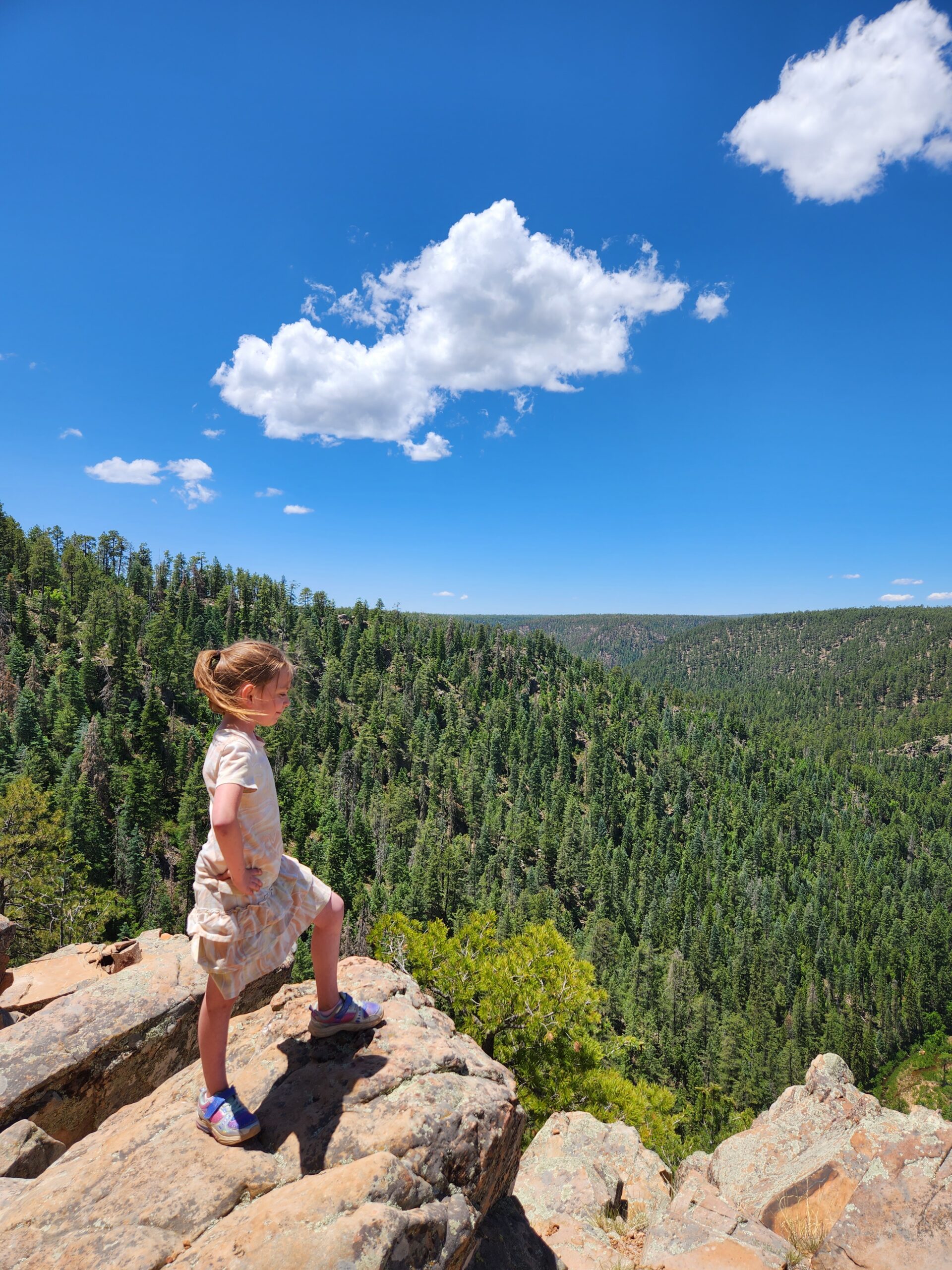 A child standing firm, overlooking Larsen Canyon, Arizona, with an excited smile.